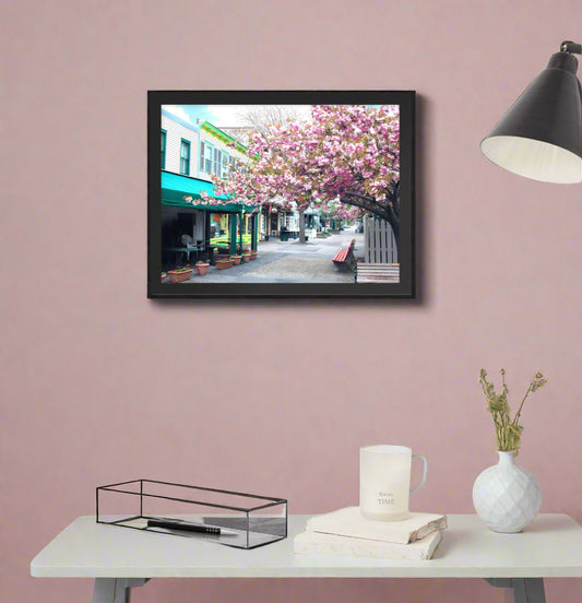 Cape May Framed Poster