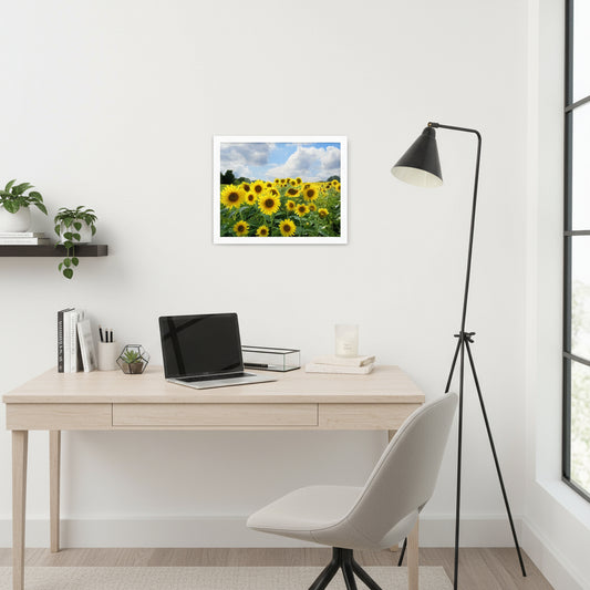 Sunflower Field Framed poster