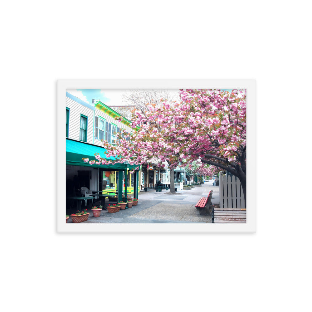 Cape May Framed Poster