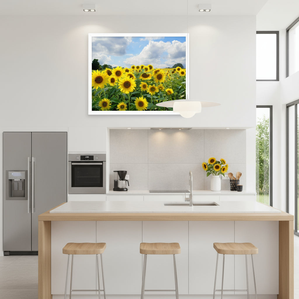 Sunflower Field Framed poster