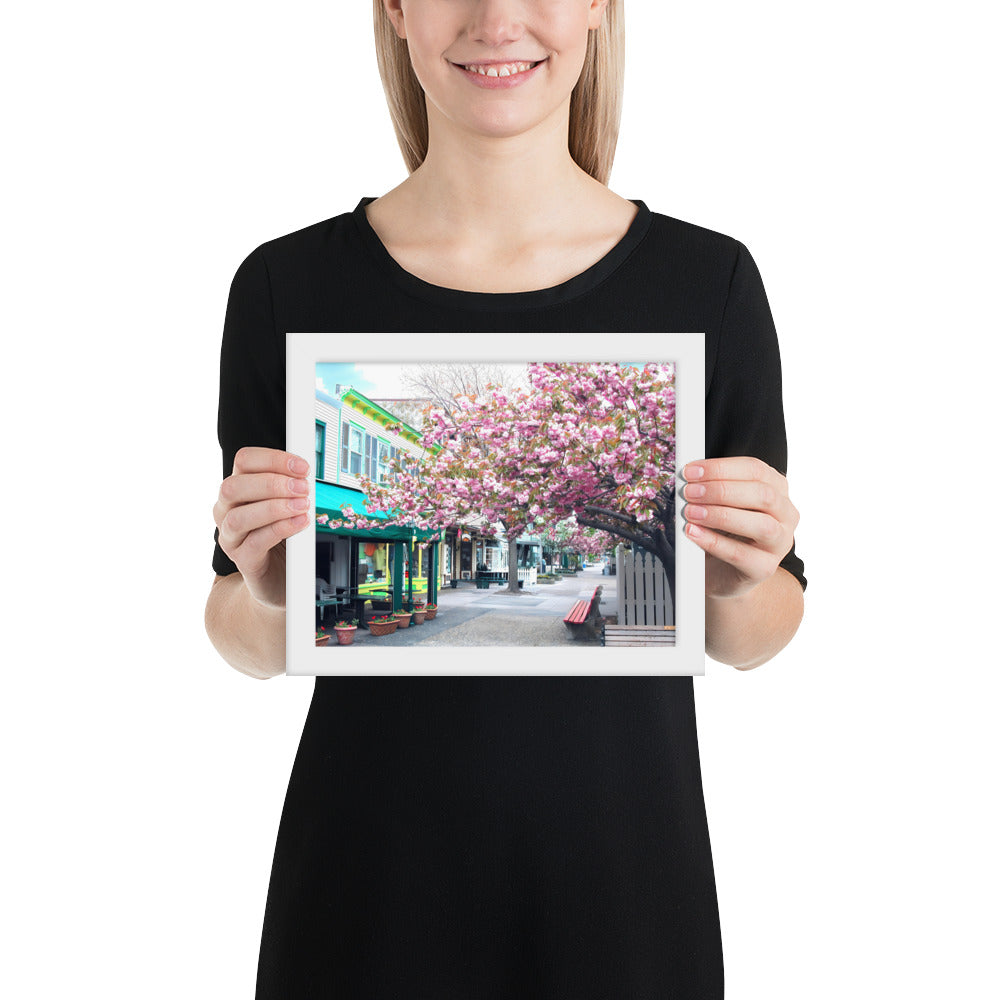 Cape May Framed Poster