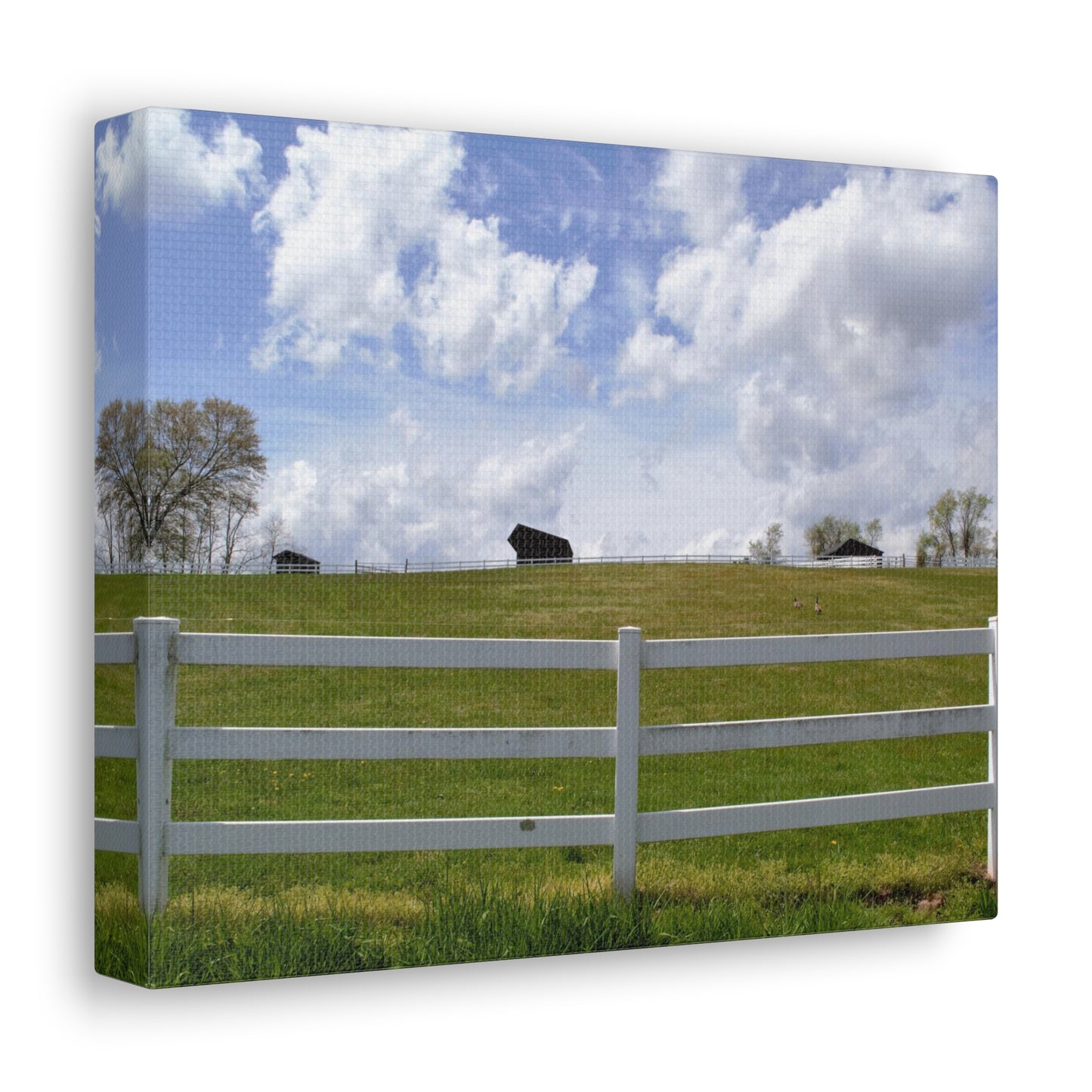 Farm Scene with White Fence Canvas