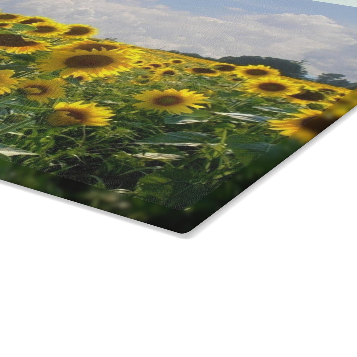 Sunflower Field Glass Cutting Board