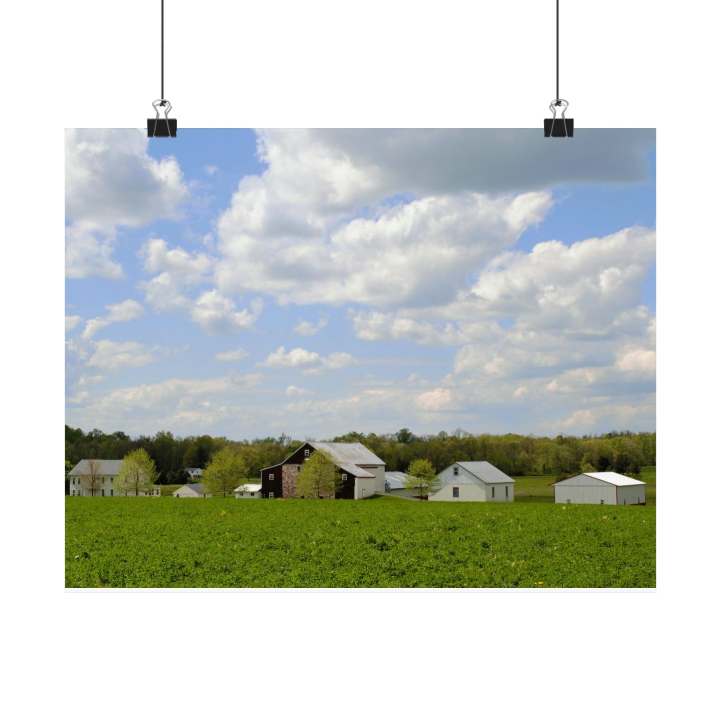 Farm Scene in Pennsylvania