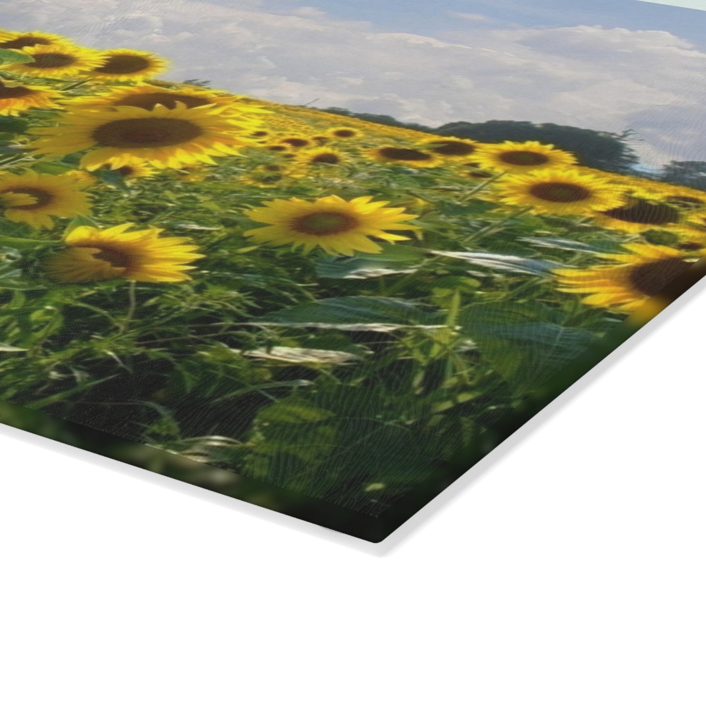 Sunflower Field Glass Cutting Board