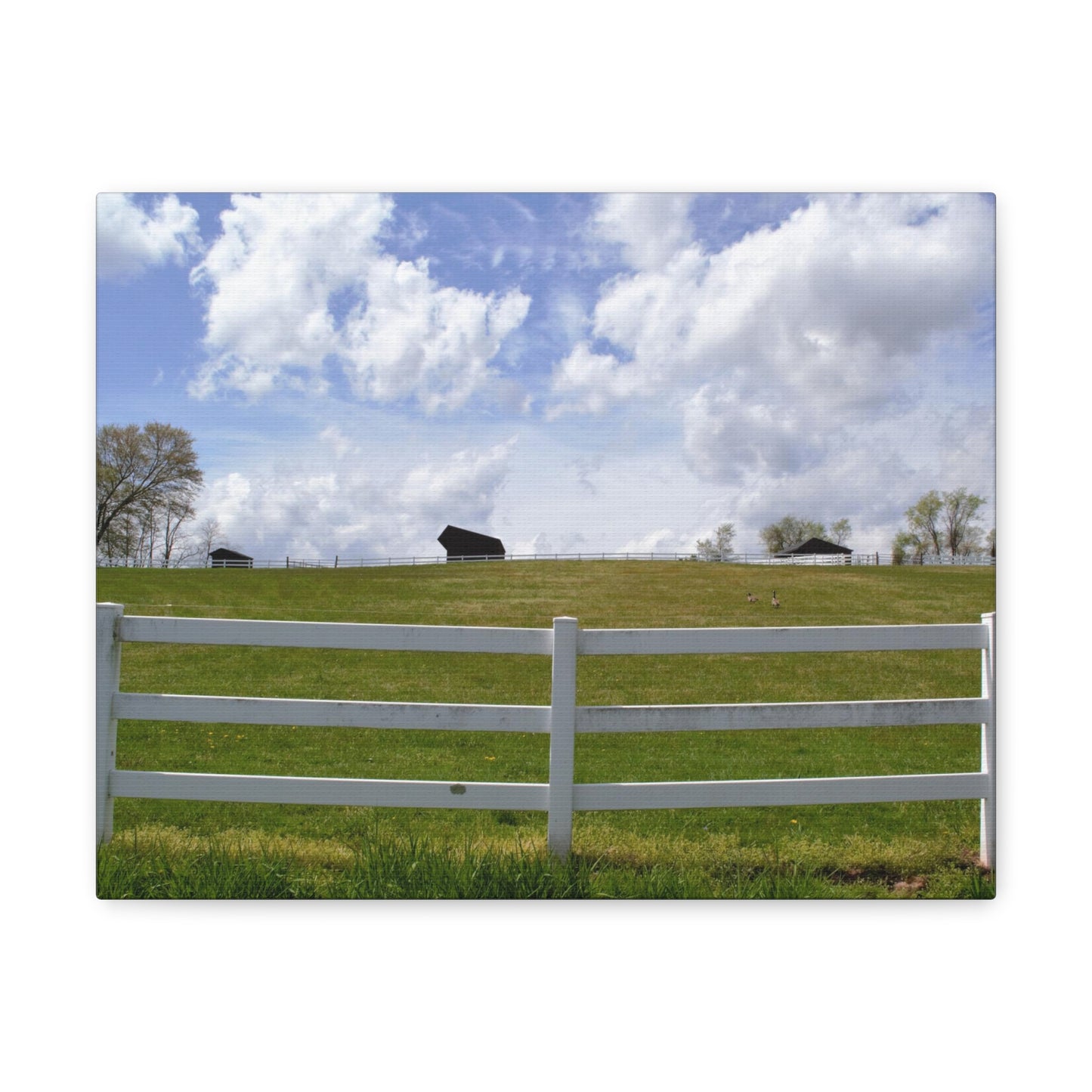 Farm Scene with White Fence Canvas