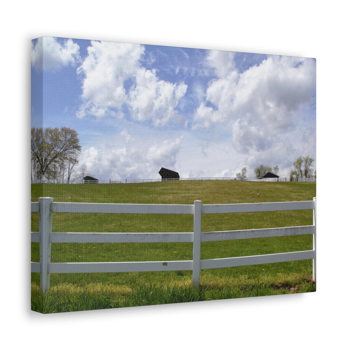 Farm Scene with White Fence Canvas