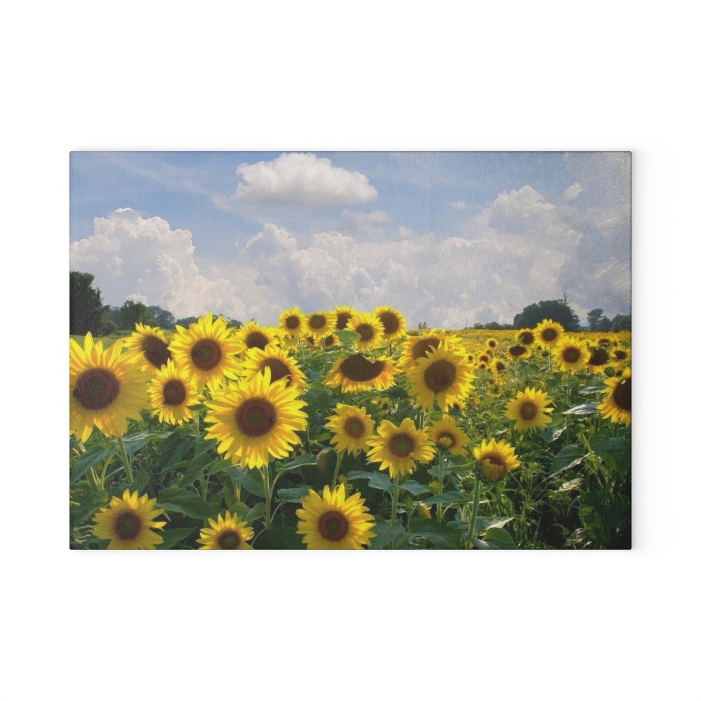 Sunflower Field Glass Cutting Board