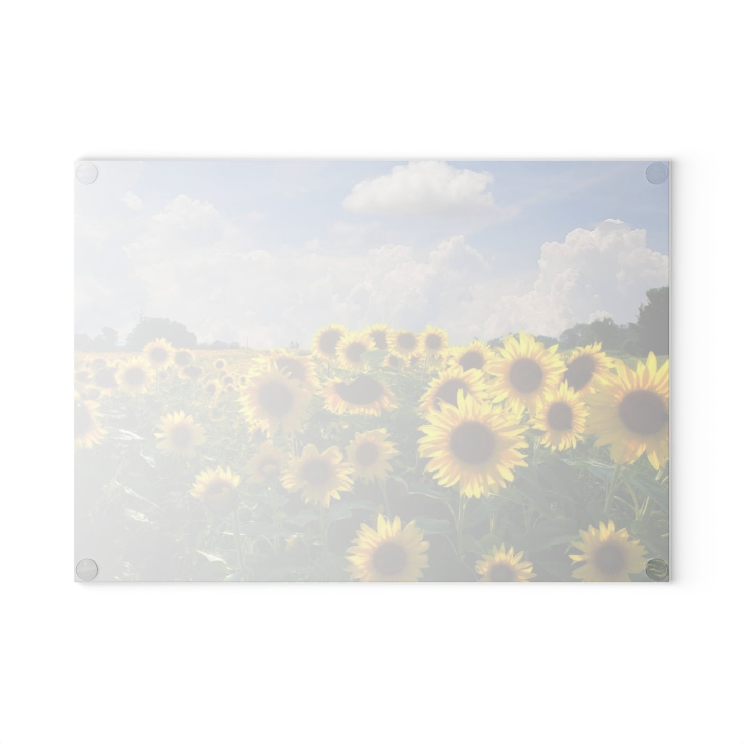 Sunflower Field Glass Cutting Board