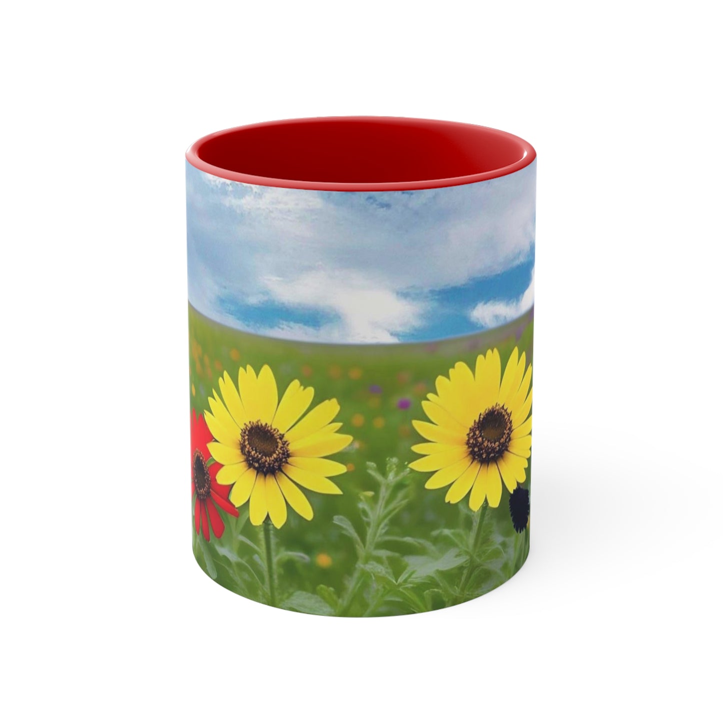 Daisies in a Field Red Accent Coffee Mug, 11oz