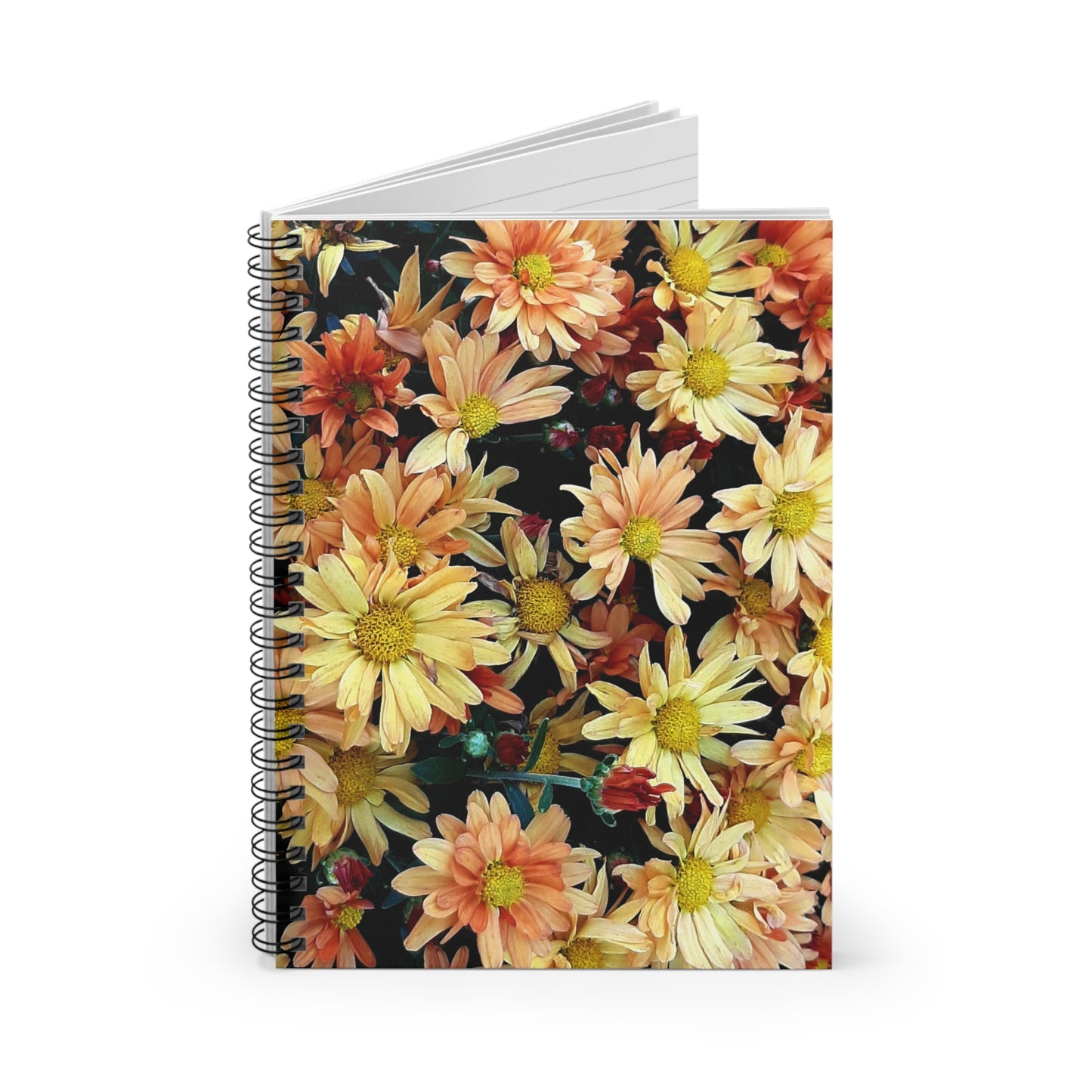 Fall Asters Notebook - Ruled Line