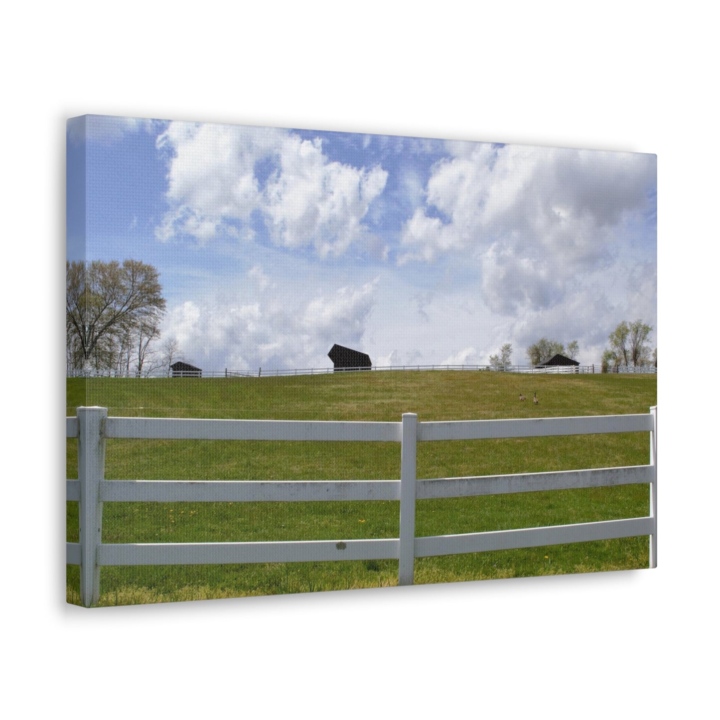 Farm Scene with White Fence Canvas