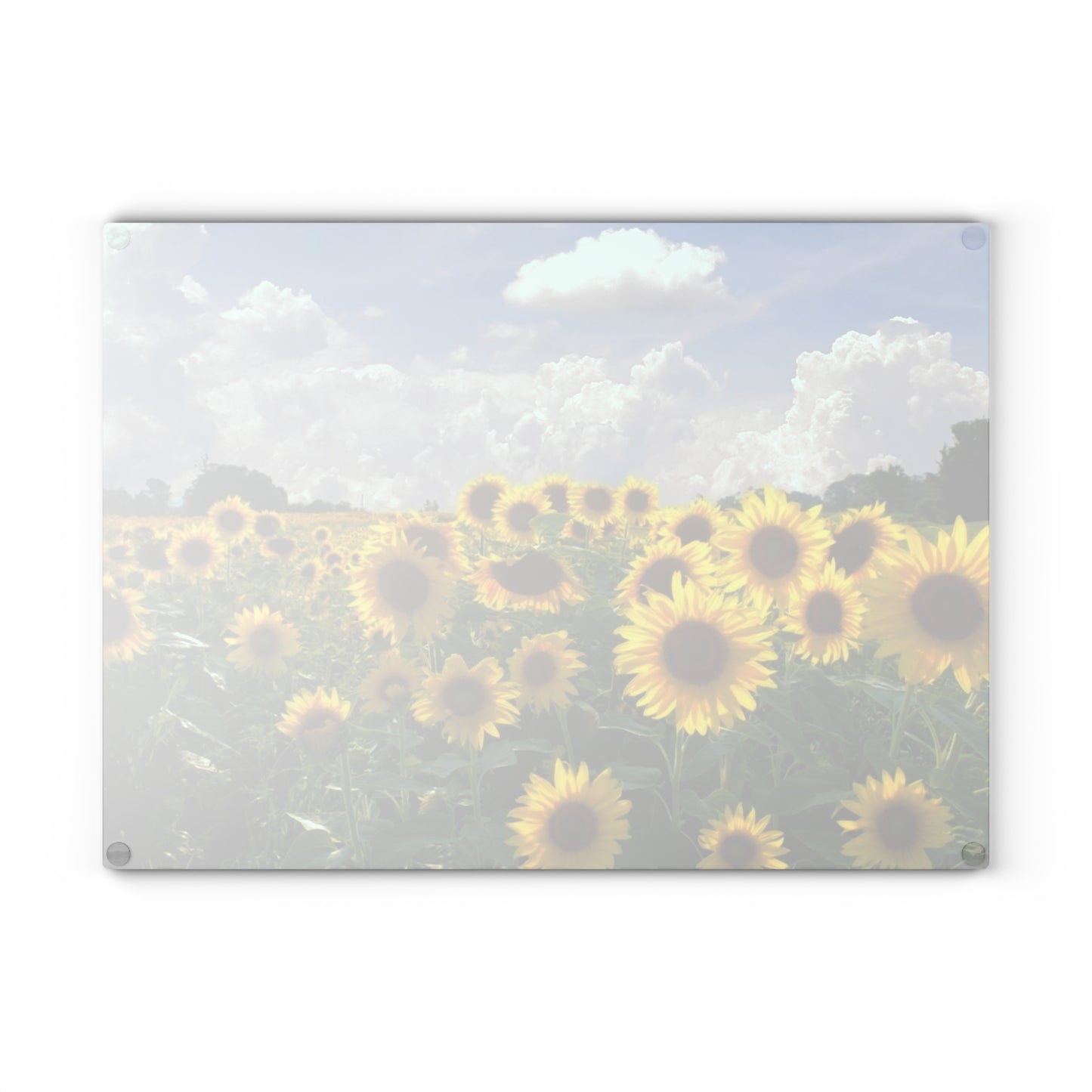 Sunflower Field Glass Cutting Board