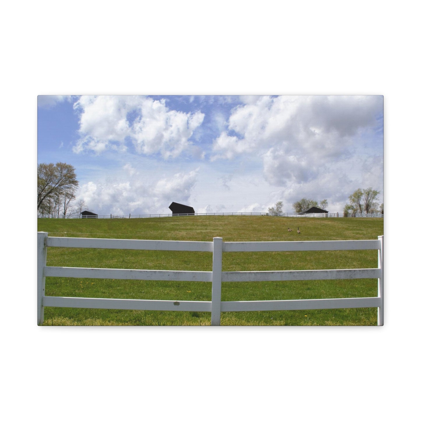 Farm Scene with White Fence Canvas