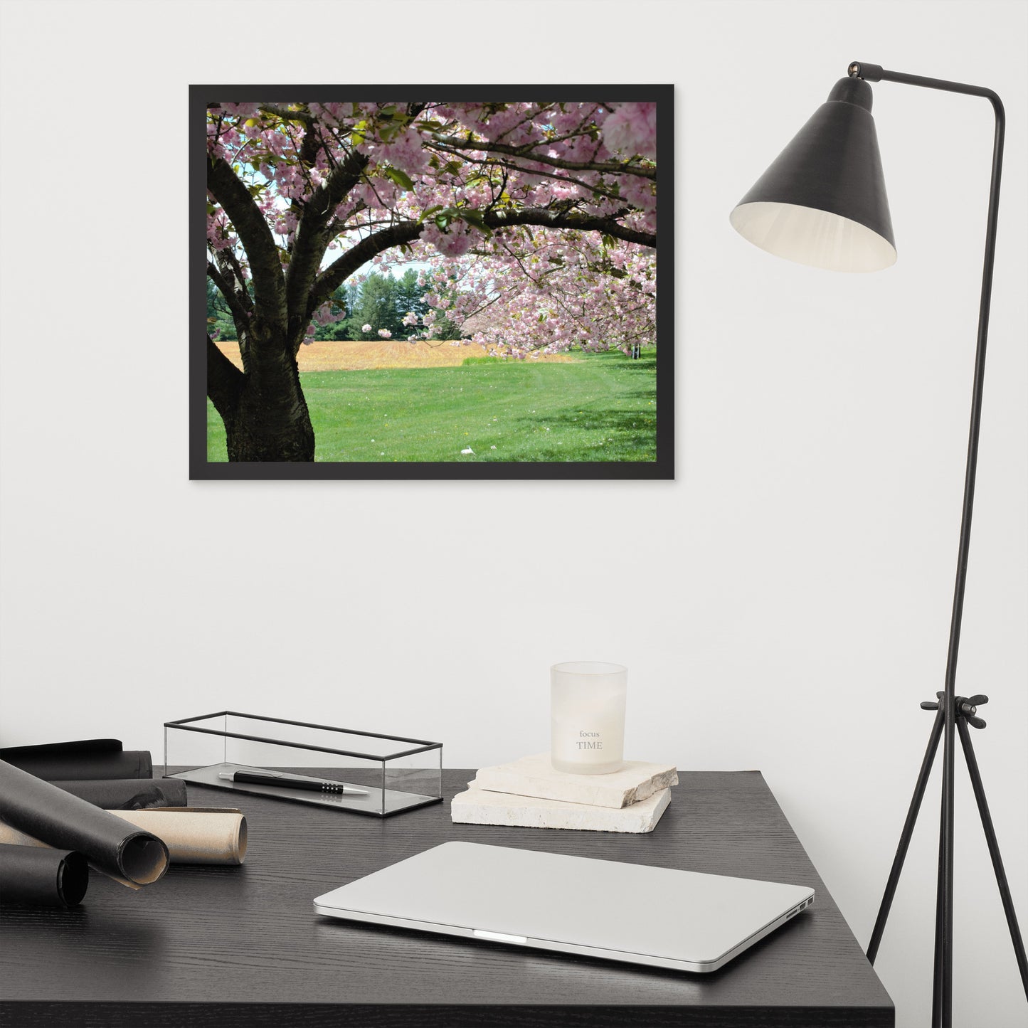 Apple Blossom Shower Framed Poster