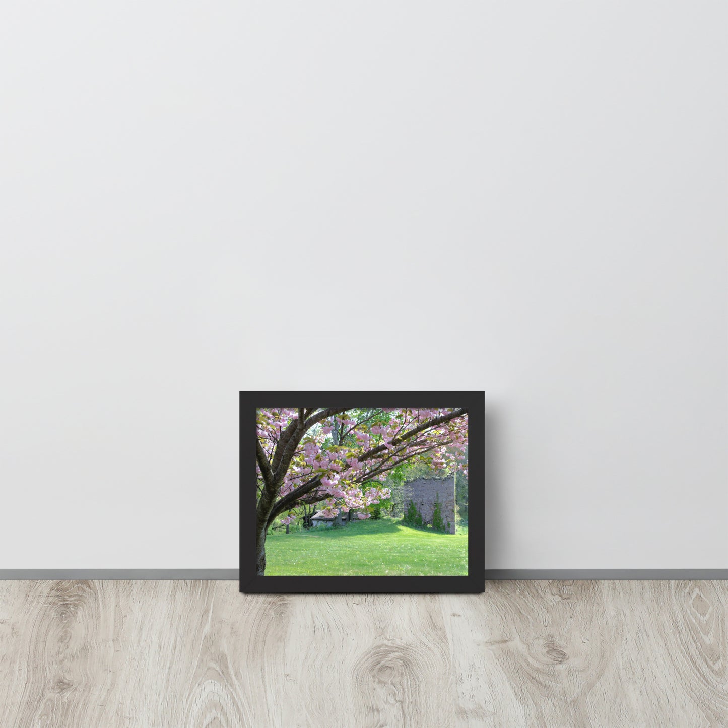 Apple Blossoms among the Ruins in Pennsylvania Framed poster