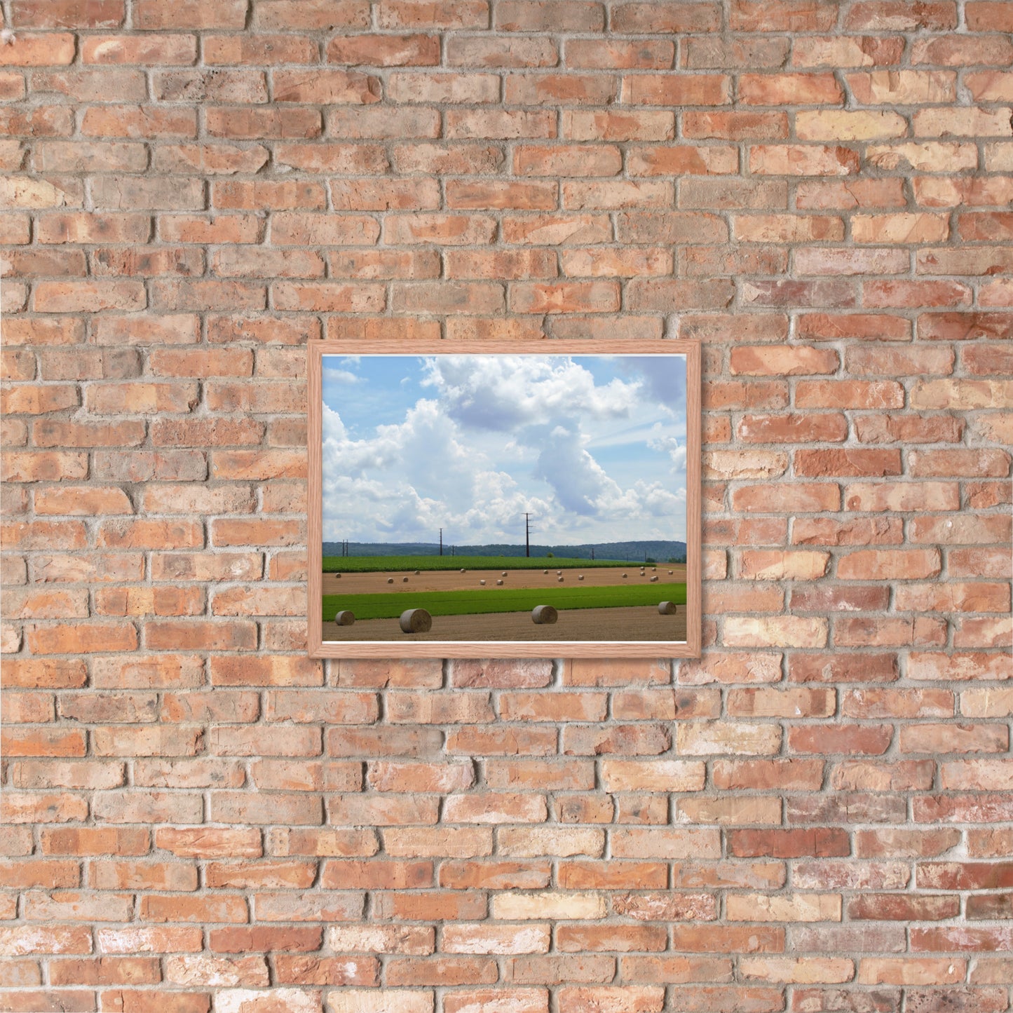 Wheat Bales Framed poster