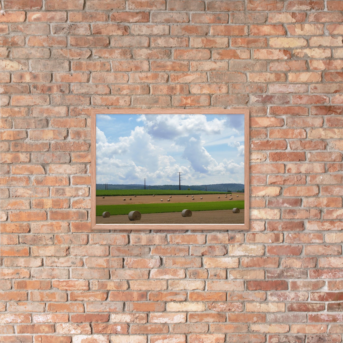 Wheat Bales Framed poster