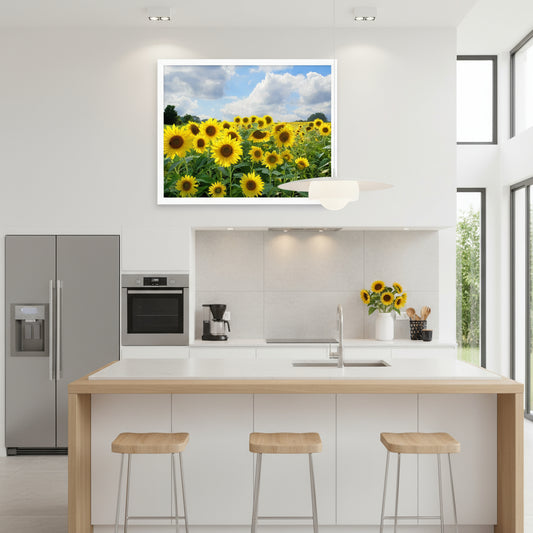 Sunflower Field Framed poster