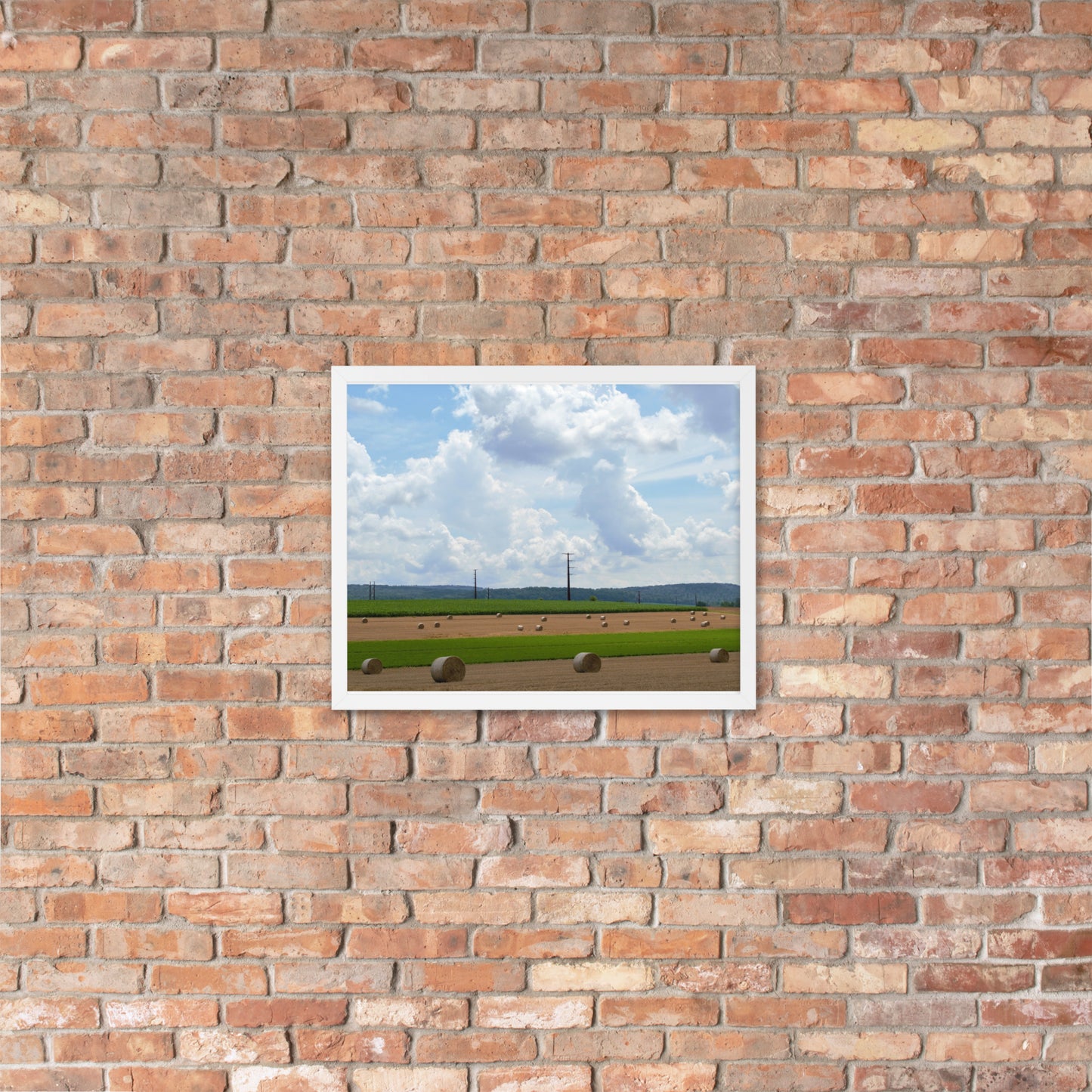 Wheat Bales Framed poster