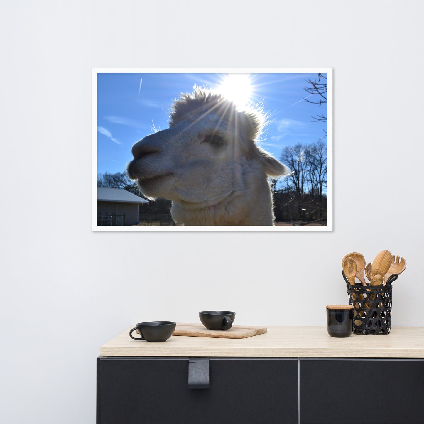 Cute Alpaca Blessed by the Sun Framed poster